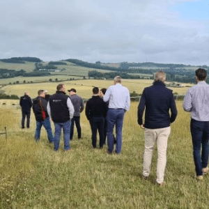 Networkers walking to see the horses at the Front Runners Network event.