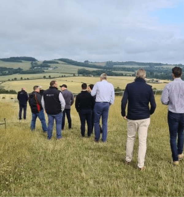 Networkers walking to see the horses at the Front Runners Network event.